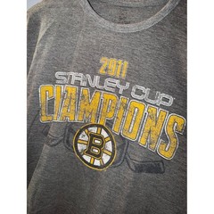 Boston Bruins 2011 Stanley Cup Champions T-Shirt G-III Gray Mens Medium NHL Tee