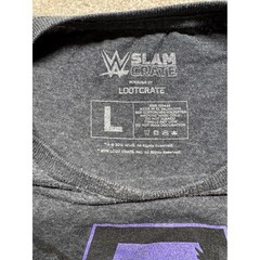 WWE Slam Crate Undertaker T-Shirt Mens Large Gray Loot Crate Wrestling Graphic L