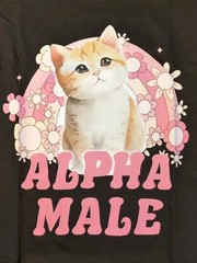 Alpha Male Funny Kitten T shirt Funny Cat Meme Shirt Size XL BLACK NEW 46″ Chest