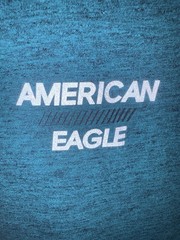 American Eagle Outfitters Men’s Teal Logo Crew Neck Short Sleeve Knit T-Shirt S