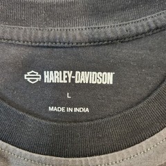 Harley-Davidson Men’s L Short Sleeve Graphic T-Shirt Color Block Logo Biker