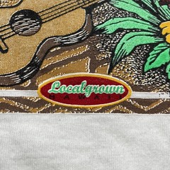 Vintager Hawaii Kauai Shirt Mens Medium Long Sleeve Hit Souvenir Made USA 90s