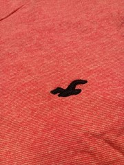 Hollister Men’s Salmon Must Have Collection Curved Hem T-shirt Size Large