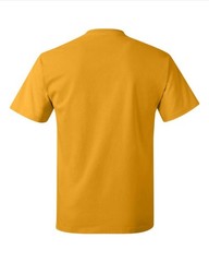 Hanes 5250 3XL Authentic Short Sleeve Men’s Cotton T-Shirt Gold Pit to Pit 27.5″