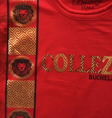 Men’s Bucheli T Shirt,Soft Cotton,Stretch,Italian Style M L…..C3.B