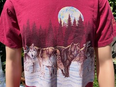 Vintage Cal Cru Albuquerque New Mexico Wrap Around Wolf Pack T Shirt Red Size M