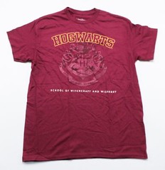 Loot Crate Unisex Adult’s Hogwarts Short Sleeve Tee Shirt EJ1 Maroon Medium