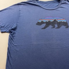 Patagonia T-Shirt Mens XL Blue Fitz Roy Bear Hiking Cotton Short Sleeve 39143