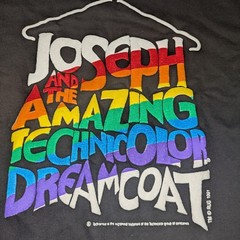 Joseph and the Amazing Technicolor Dreamcoat Tee Size L