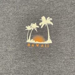 T Shirt Lot of 6 Men Large Graphic Skate Surf Outdoor Streetwear Gorpcore Hawaii