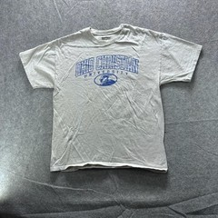 Champion Shirt Mens L Gray Ohio Christian University Graphic Tee Crewneck