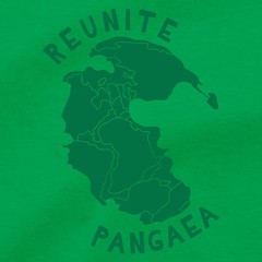REUNITE PANGAEA T Shirt Pangea Puzzle Gondwana Panthalassa Rodinia Ur Tee Poster