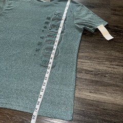 Aeropostale Men’s Medium Raised Logo T-shirt Sagebrush Green Marled