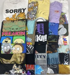 Wholesale Lot of 30 Cartoon/Anime Graphic Short Sleeve Tee Shirts(Sizes In Desc)