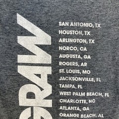 Tim McGraw Band T Shirt Adult Large Gray McGraw 2022 Tour Short Sleeve