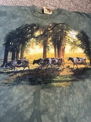 The Mountain Mens T-shirt Vintage 1999 Green “Roaming Cows” Leather Tag Size XL