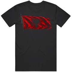 Albania Flag Strong Gift Graphic v4 T Shirt