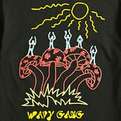 ALAB Wavy Gang Men’s Black T-shirt – NWT