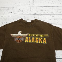 Harley-Davidson Alaska Shirt Mens Medium Brown Farthest North Outpost Graphic
