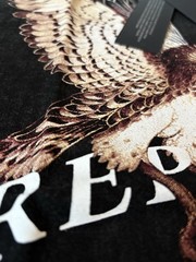 Represent Birds Graphic Black Men’s Short Sleeve Crew Neck T-Shirt S