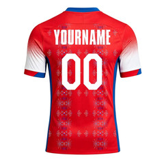 Haiti World Cup 2026 Soccer Jersey Custom Name Number Mesh V-Neck T-Shirt