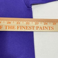 Vintage Vermont Shirt Mens XL Purple Don Doubleday Winter Scene 1993 Hanes USA