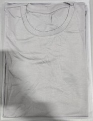 GENERIC UNI-SEX T-SHIRT 71% RAYON, 25% POLYAMIDE, 4% SPANDEX – L – LIGHT GRAY