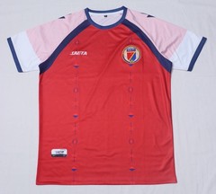 Haiti World Cup 2026 Soccer Jersey Custom Name Number Mesh V-Neck T-Shirt