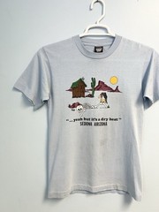 Vintage 80s Sedona Arizona Humor T Shirt Medium Faded Worn Single Stitch USA