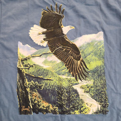 AL AGNEW T-Shirt Men’s Size M Bald Eagle Mountain River Blue Pocket NEW w/ Tags