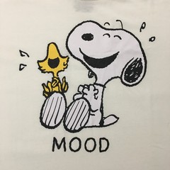 Teen Girls Size XXL Peanuts Snoopy & Woodstock Mood Lt Ivory S/S Tee T-Shirt NWT