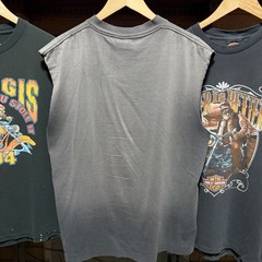 Vintage 90s Harley Davidson Sun Faded Single Stitch T Shirt Looney Tunes Taz L