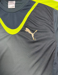 Puma Mens Training T-Shirt Black & Lime Green Gradient Halftone Football
