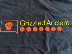 Bungie 2012-2013 Pentathlon Grizzled Ancient T Shirt XL Used RARE