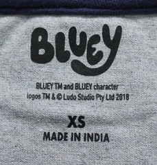 Bluey Unisex Adult’s Matching Family Long Sleeve Bingo T-Shirt LB3 Gray Size XS