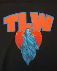 Personalized Custom T-Shirt Customized w/Photo, Text, Logo on Gildan Shirts*