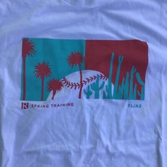 Routine Men Large Short Sleeve Shirt White Baseball Spring Training Fl AZ