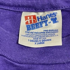 Vintage Vermont Shirt Mens XL Purple Don Doubleday Winter Scene 1993 Hanes USA