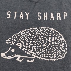 Ripple Junction Stay Sharp Hedgehog Graphic T-Shirt Men’s 2XL Blue Tee Casual
