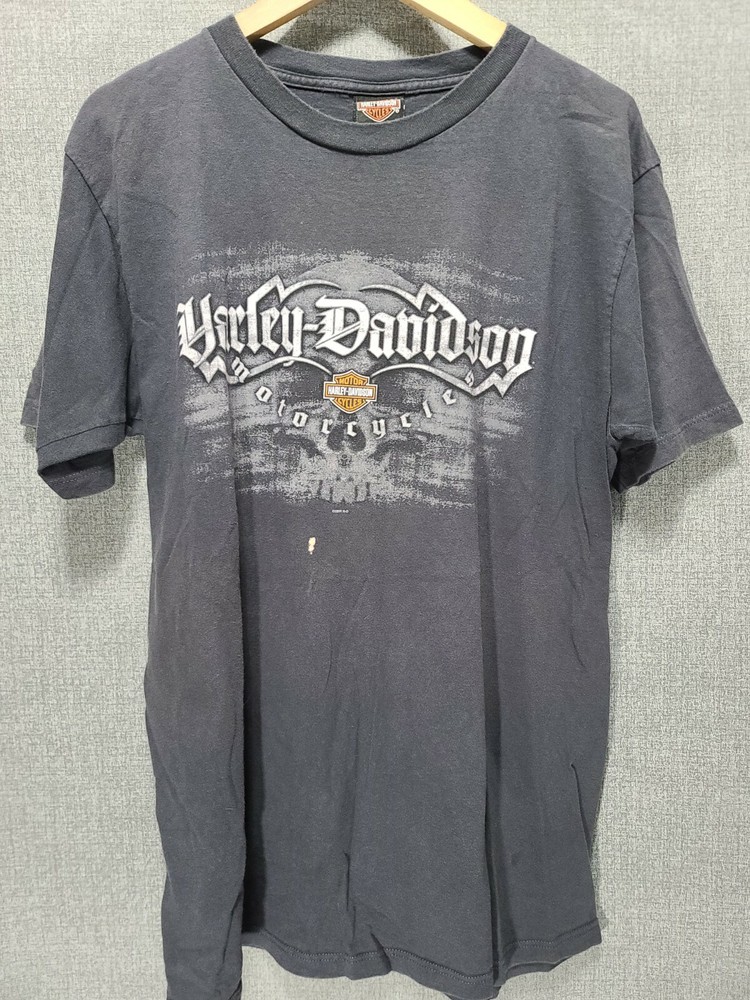 Vintage Harley Davidson Fairbanks Alaska T Shirt Husky Motorcycle Large USA C36