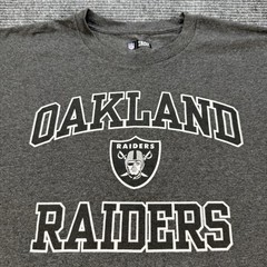 Oakland Raiders T Shirt Mens Large Gray NFL Team Apparel Logo Short Sleeve Tee
