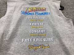 Vintage Disney Blizzard Beach I Survived Summit Plummet Tank Top Gray X-Large
