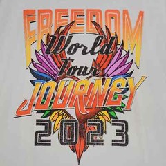 Journey Concert Shirt Mens 2XL XXL Gray Rock Tour Music Casual Distressed NWT