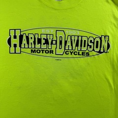 Harley Davidson T Shirt Men M Neon Yellow Cascade Pinup Bend Oregon Bikercore