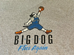 VTG Y2K AIR BIG DOG Flies Again T Shirt Basketball Youth XL- Men S Jordan Parody