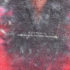Lynyrd Skynyrd Shirt Mens Large Multicolor Free Bird Eagle Tie Dye Graphic Tee