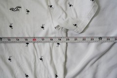Hollister Must-Have Black Flamingo Short Sleave Men’s Shirt