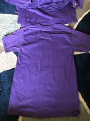 Bulk Lot Of 17 New Champion 100% Cotton T-Shirt T425 Purple Tagless SMALL