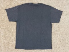 Champion Casual Basic T-Shirt Mens XL Crew Neck Central Spell Out Graphic Gray