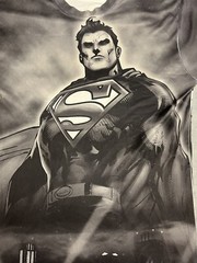 Superman DC black & white all over print custom T-Shirt size Small